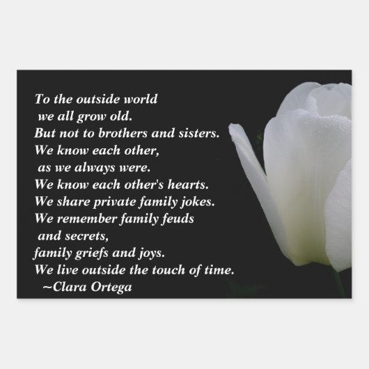 Broer/zuster-verjaardag Inpakpapier Vel (Voorkant)