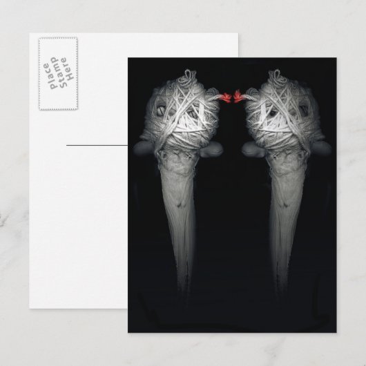 Broers 2013 briefkaart (Voorkant / Achterkant)