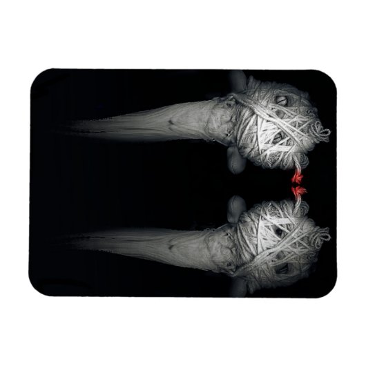 Broers 2013 magneet (Horizontaal)