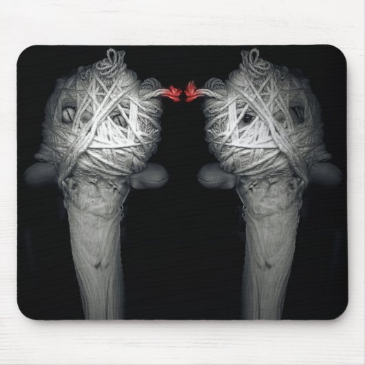 Broers 2013 muismat (Voorkant)