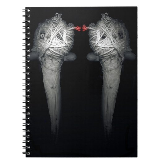 Broers 2013 notitieboek (Voorkant)