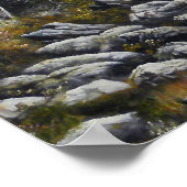 Broers: 4 wolven schilderen van canvas olie voor v poster (Hoek)