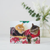 Broers Briefkaart (Staand voorkant)