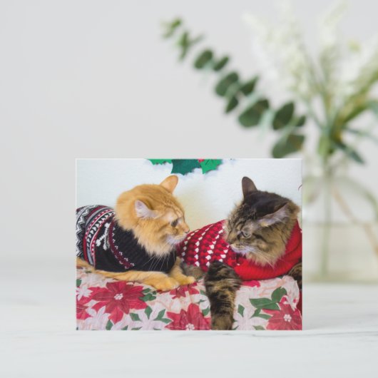 Broers Briefkaart (Staand voorkant)