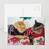 Broers Briefkaart (Voorkant / Achterkant)