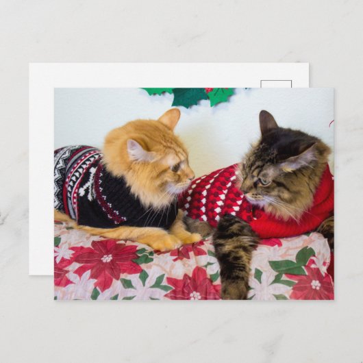 Broers Briefkaart (Voorkant / Achterkant)