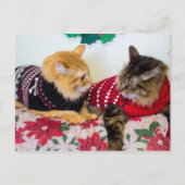 Broers Briefkaart (Voorkant)