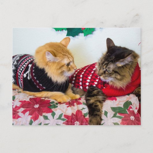 Broers Briefkaart (Voorkant)