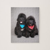 Broers Nuwfie Legpuzzel (Verticaal)