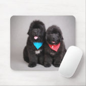 Broers Nuwfie Muismat (Met muis)