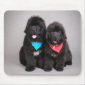 Broers Nuwfie Muismat (Voorkant)