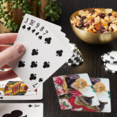 Broers Pokerkaarten (Insitu)