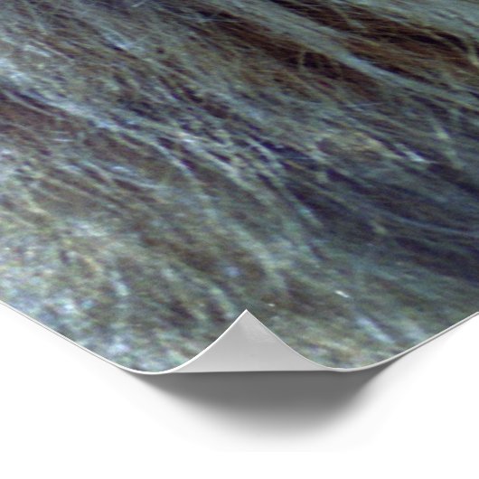 Broers Poster (Hoek)