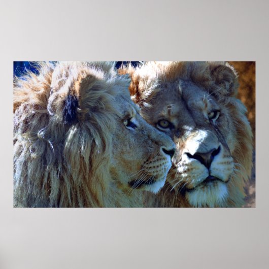 Broers Poster (Voorkant)