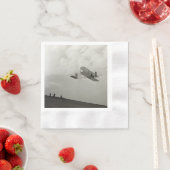 Broers van de Glider Test Vliegtuig Servet (Insitu)