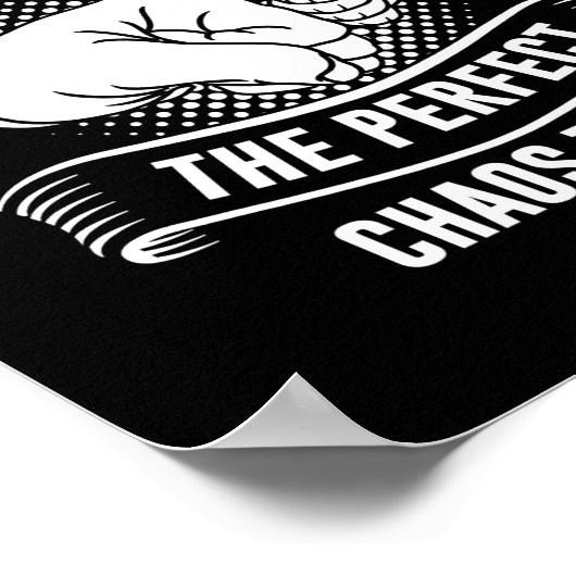 broertje broertje de perfecte broer poster (Hoek)