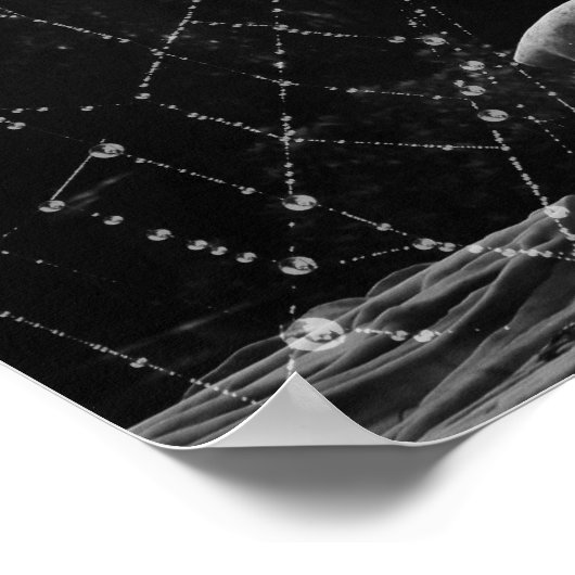 Broken Angel Wings Poster (Hoek)