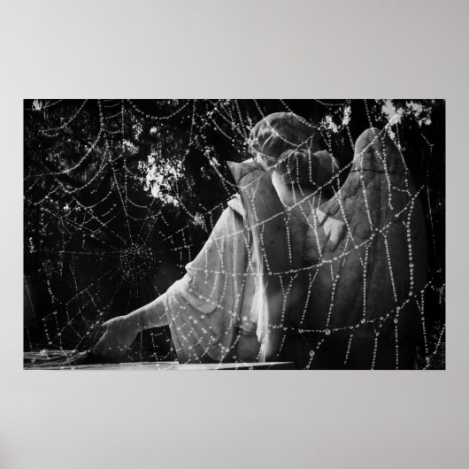 Broken Angel Wings Poster (Voorkant)