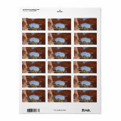 Broken Arch in het Arches National Park Etiket (Full Sheet)