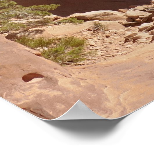 Broken Arch in het Arches National Park Poster (Hoek)