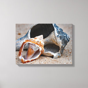 Broken Beach Beauties #2 Canvas Afdruk