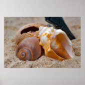 Broken Beach Beauties #2 Poster (Voorkant)