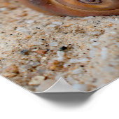 Broken Beach Beauties #2 Poster (Hoek)