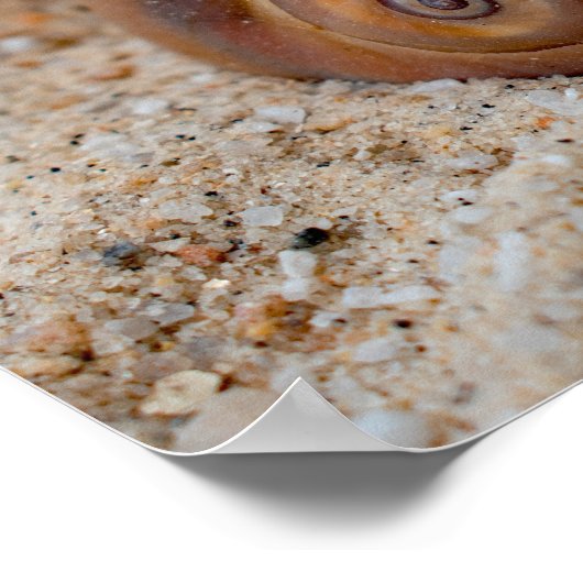 Broken Beach Beauties #2 Poster (Hoek)