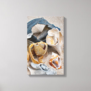 Broken Beach Beauties Canvas Afdruk
