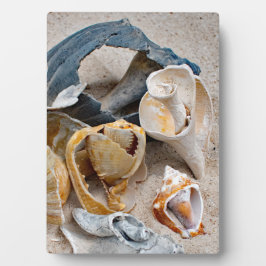 Broken Beach Beauties Fotoplaat