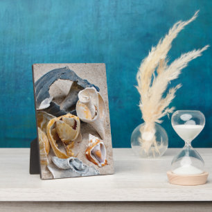 Broken Beach Beauties Fotoplaat