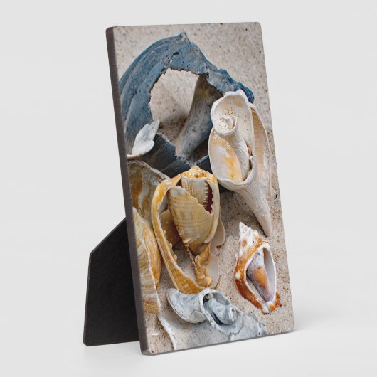 Broken Beach Beauties Fotoplaat (Zijkant)