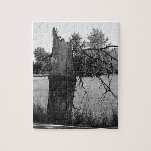 Broken boom legpuzzel (Verticaal)