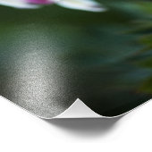 Broken hartlijn omhoog foto afdruk (Hoek)