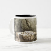 Broken Mayan idol op Copan, Guatemala Tweekleurige Koffiemok (Voorkant links)