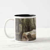 Broken Mayan idol op Copan, Guatemala Tweekleurige Koffiemok (Links)