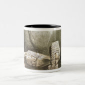 Broken Mayan idol op Copan, Guatemala Tweekleurige Koffiemok (Center)