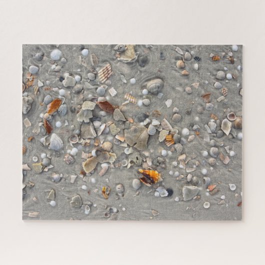 Broken Shells on Cape San Blas, Florida 16x20 Legpuzzel (Horizontaal)