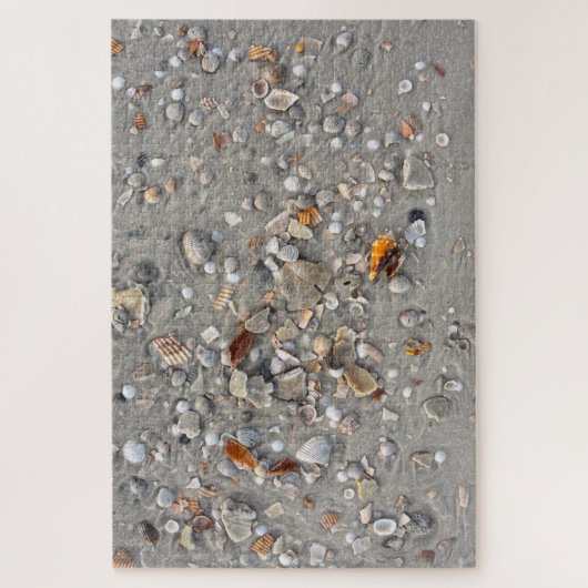 Broken Shells op Cape San Blas, Florida Legpuzzel (Verticaal)