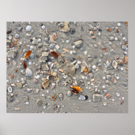 Broken Shells op Cape San Blas, Florida Poster