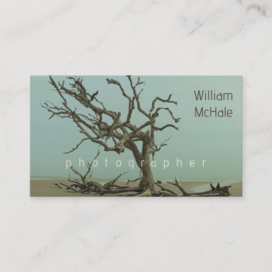 Broken Tree Driftwood Dubbelzijdig Modern Visitekaartje (Voorkant)