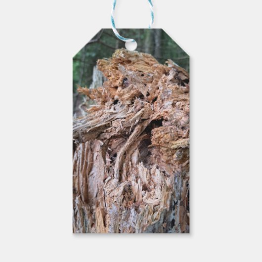 Broken Tree Gift Labels Cadeaulabel (Voorkant)