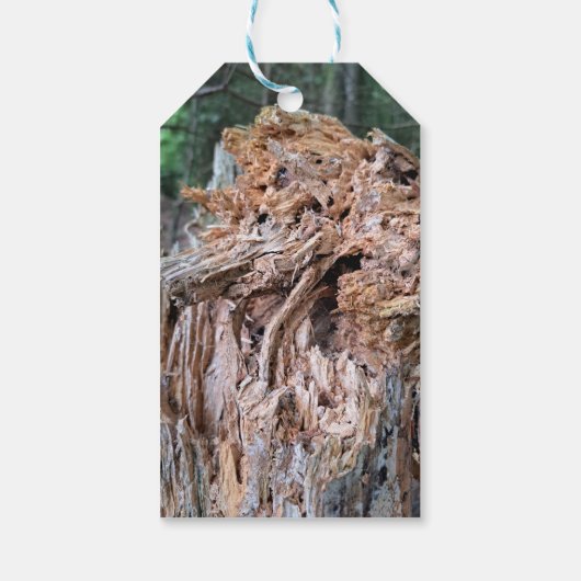 Broken Tree Gift Labels Cadeaulabel (Achterkant)