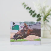 Broken Vow - Copeland's Angel Colt Briefkaart (Staand voorkant)