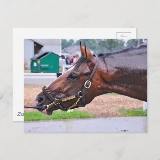 Broken Vow - Copeland's Angel Colt Briefkaart (Voorkant / Achterkant)