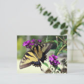 Broken Wing Briefkaart (Staand voorkant)