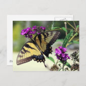 Broken Wing Briefkaart (Voorkant / Achterkant)