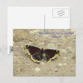 Broken Wing Potcard Briefkaart (Voorkant / Achterkant)