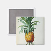 Bromelia Ananas uit "Les Bromeliacees" Magneet (Voorkant / Achterkant)
