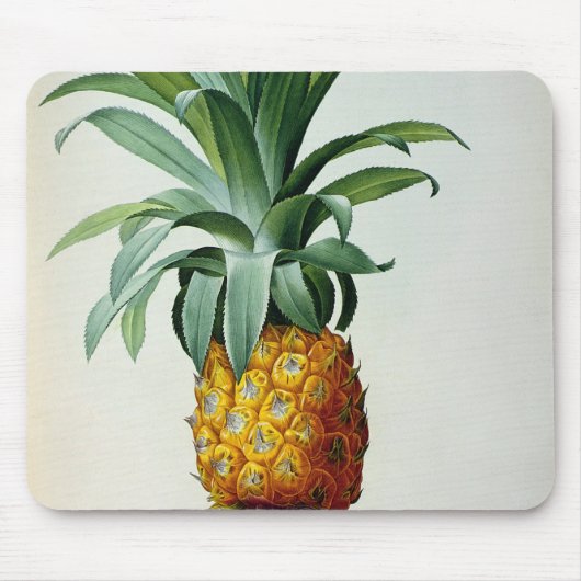 Bromelia Ananas uit "Les Bromeliacees" Muismat (Voorkant)